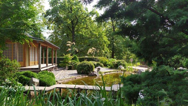 Seasonal planting and flower bed installation